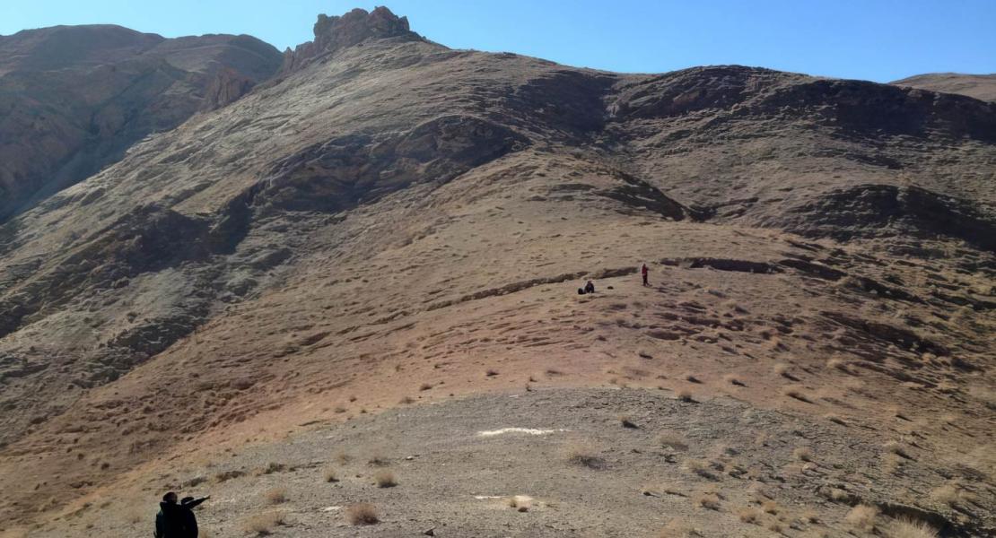 Ricercatori sul campo in Iran centrale, impegnati nella raccolta dei fossili utilizzati nello studio.