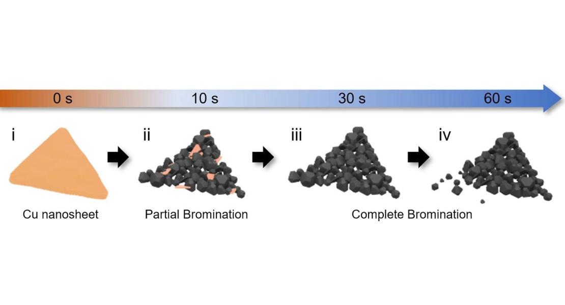 Illustrazione schematica del processo di sintesi del film bromuro di rame (CUBR). Sul substrato si forma un nanoschede di rame bidimensionale, seguito da un processo basato sulla soluzione per sintetizzare il film di bromuro di rame.