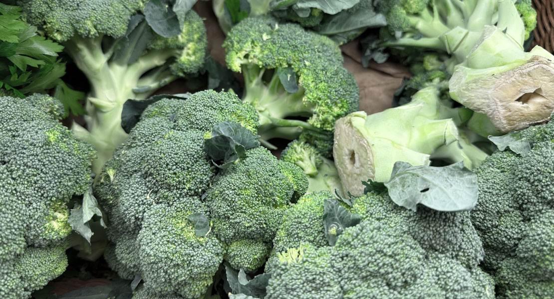 Broccoli