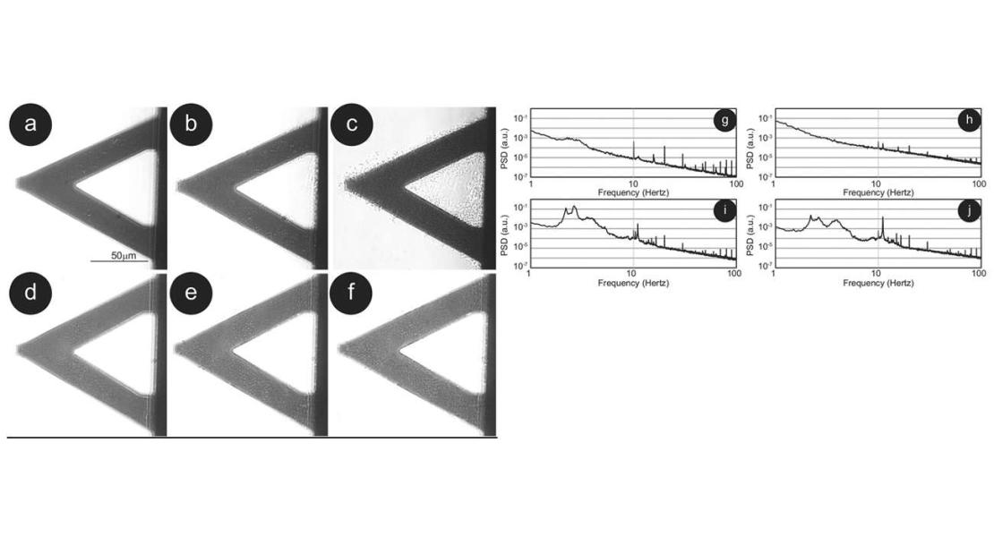 Rappresentazione del sensore con i batteri (a-f) e la risposte in frequenza delle fluttuazioni di nanomovimento (g-j).