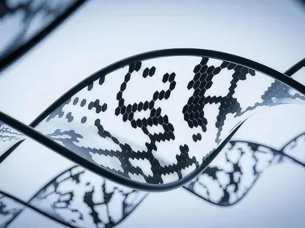 DNA