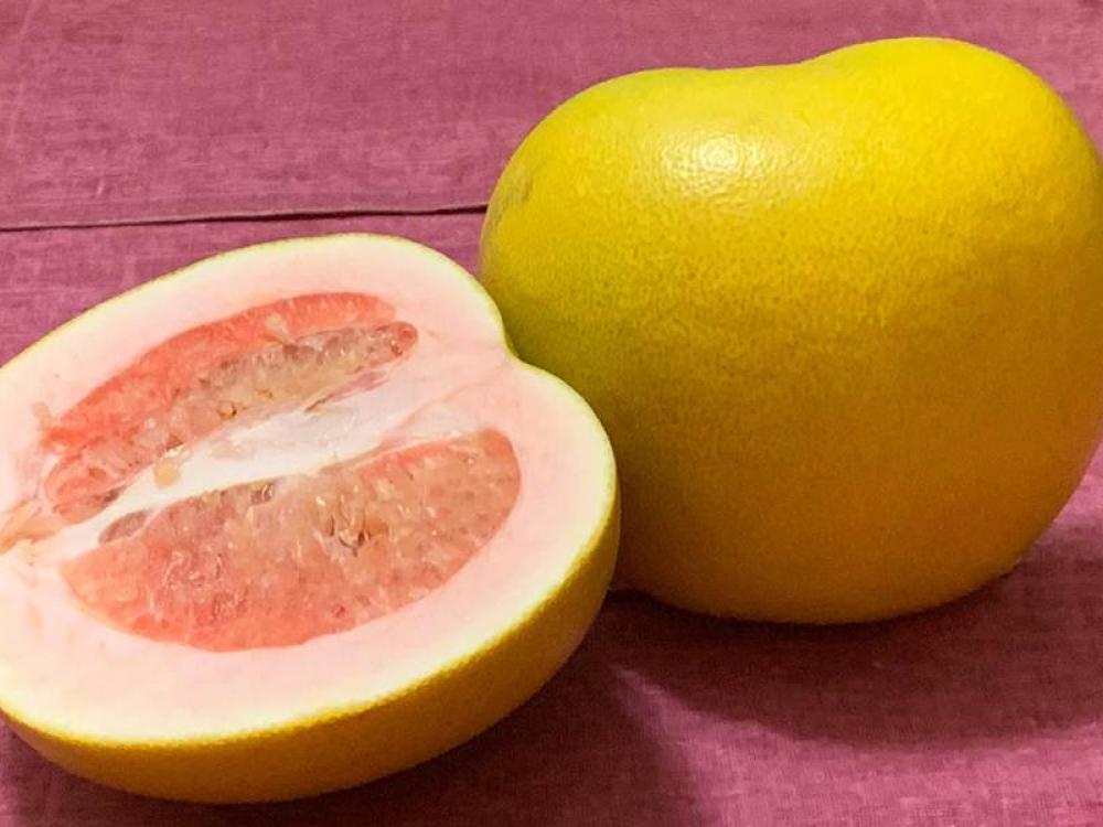 Pomelo