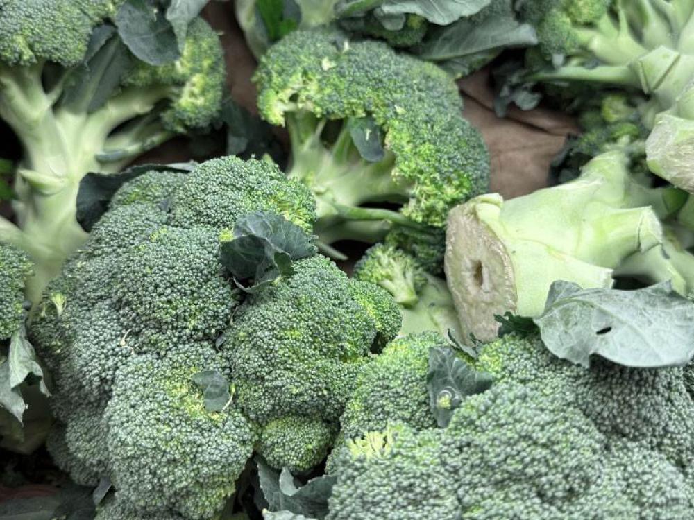 Broccoli