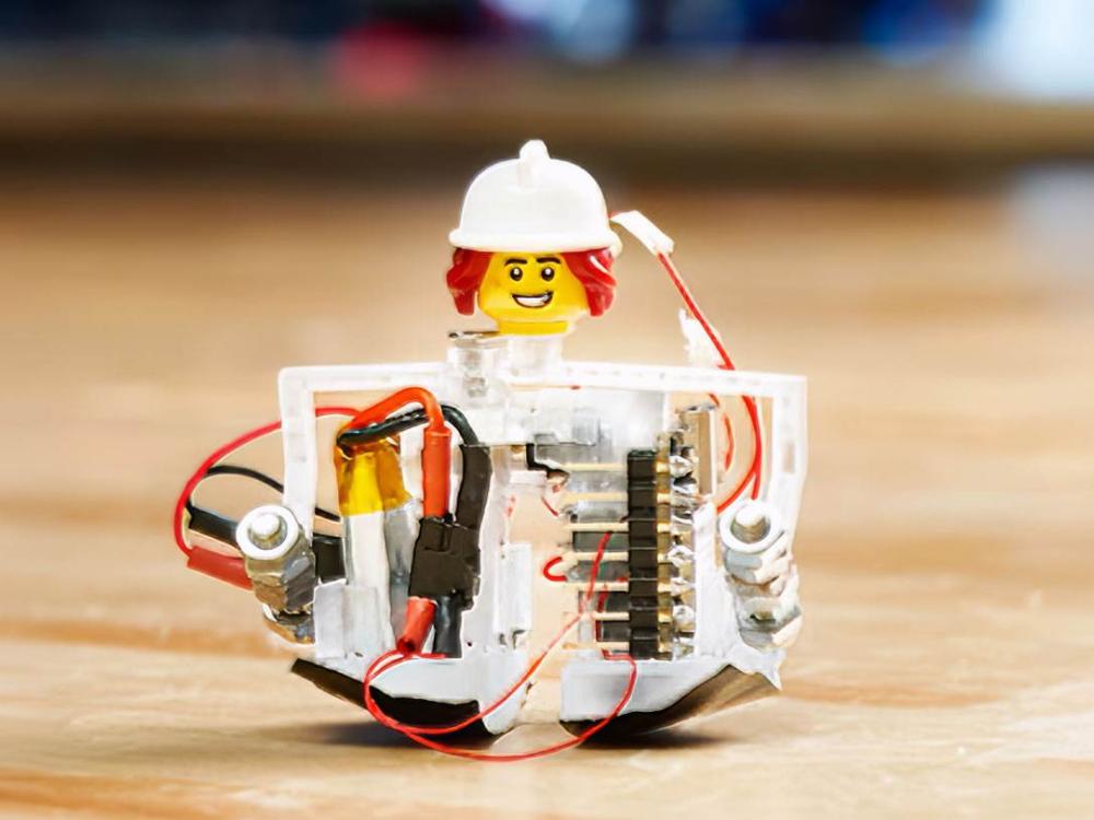 Zippy robot bipede