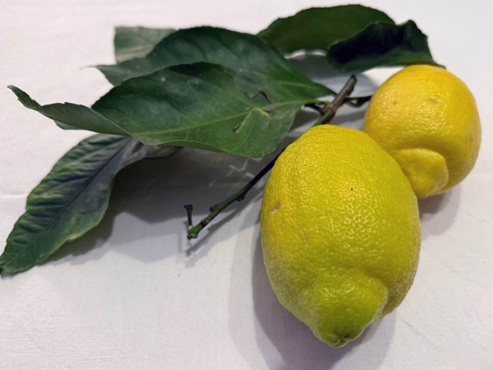 Limoni