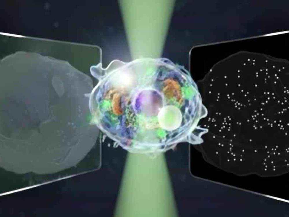 Microscopio a diffusione quantitativa bidirezionale