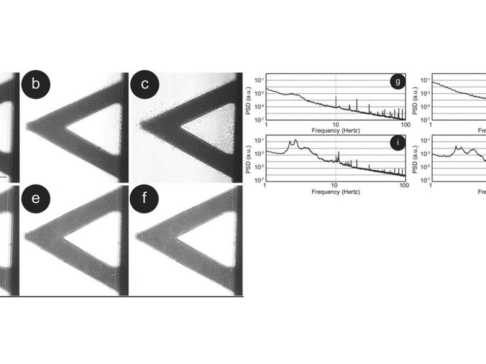 Sensore con i batteri