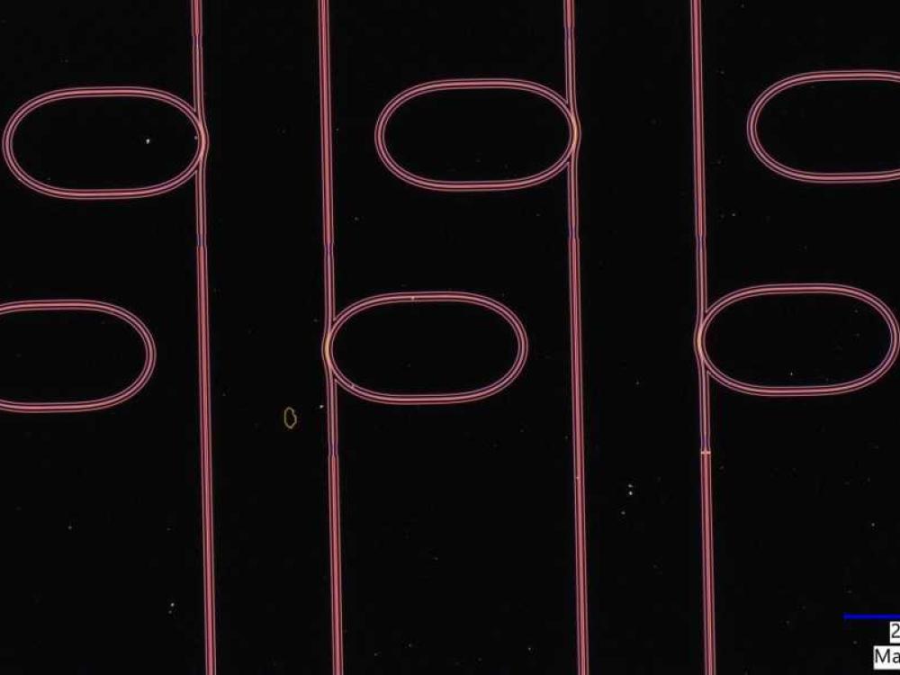 Microrisonatori di guida d'onda ottica su un chip