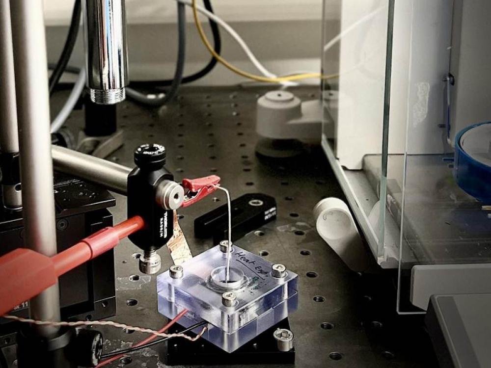 Configurazione sperimentale di LNET