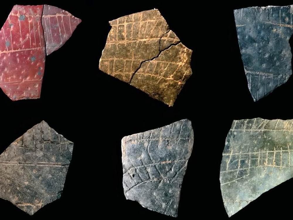 Frammenti di uova di struzzo