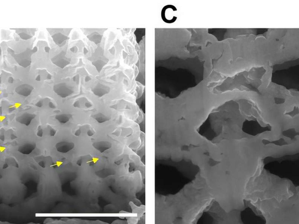 Nano-reticolo ottaedrico di nichel