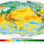 Mappa carbonio