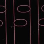 Microrisonatori di guida d'onda ottica su un chip creato in questo sforzo, che sono dieci volte più sottili dei capelli umani.