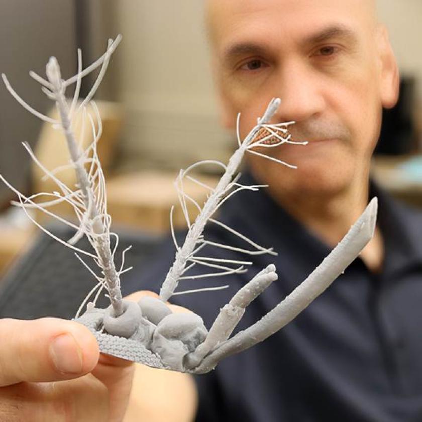 Il Professor Pablo Zavattieri mostra una testa di zanzara stampata in 3D.