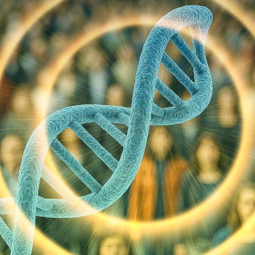 DNA