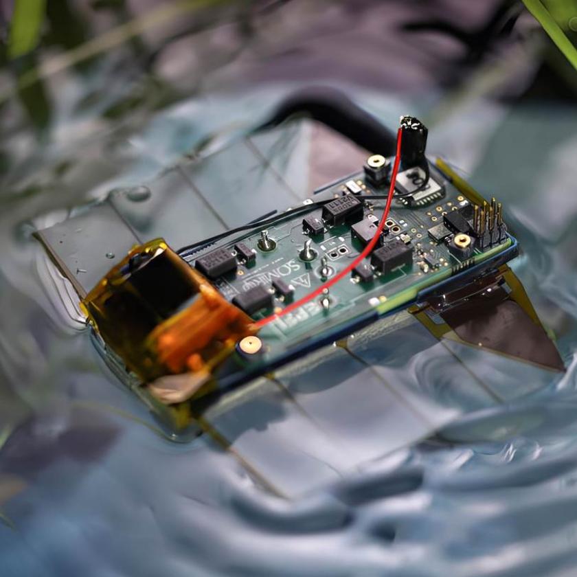 Il nuovo robot nuotatore che utilizza pinne ondulate silenziose per un movimento preciso in spazi acquatici stretti.