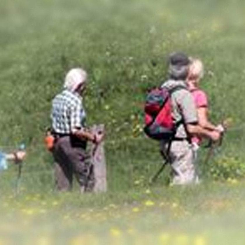Gente che passeggia