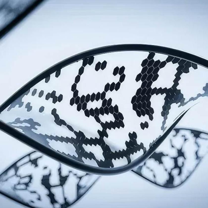 DNA
