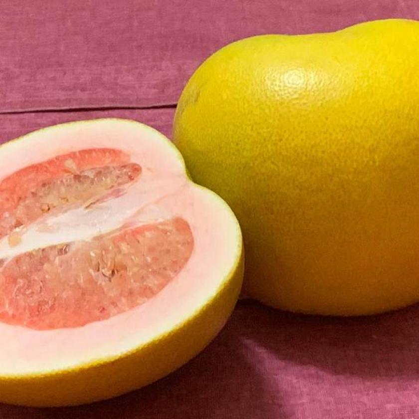 Pomelo