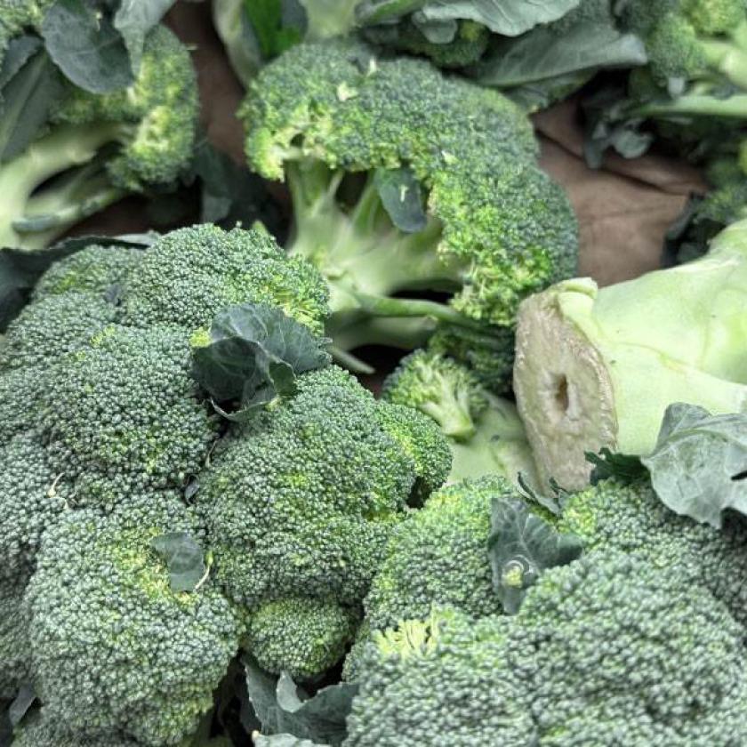 Broccoli