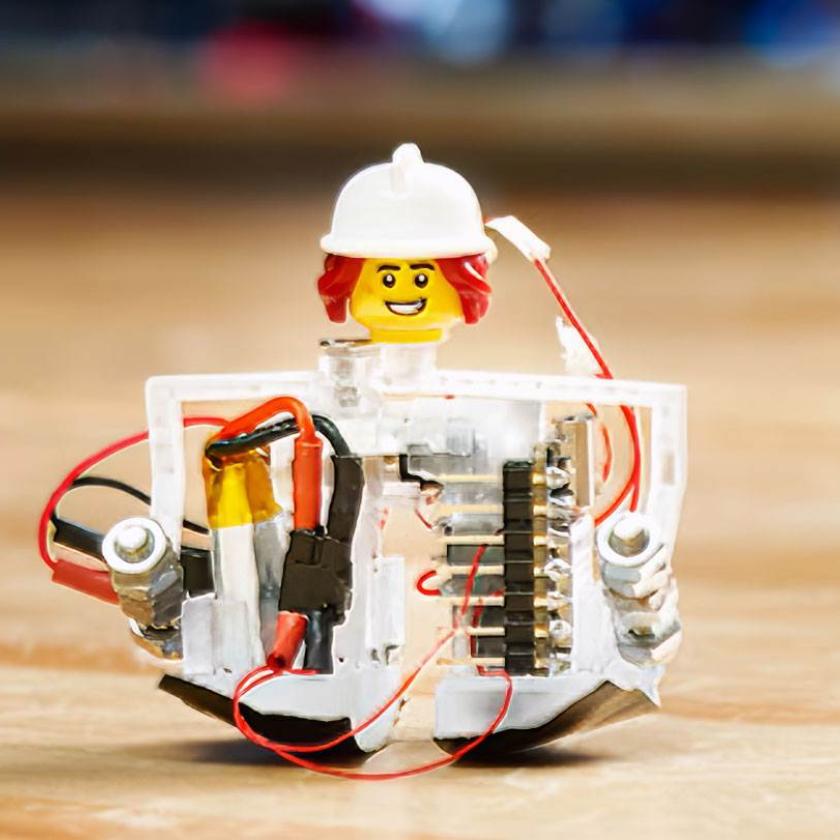 Zippy robot bipede