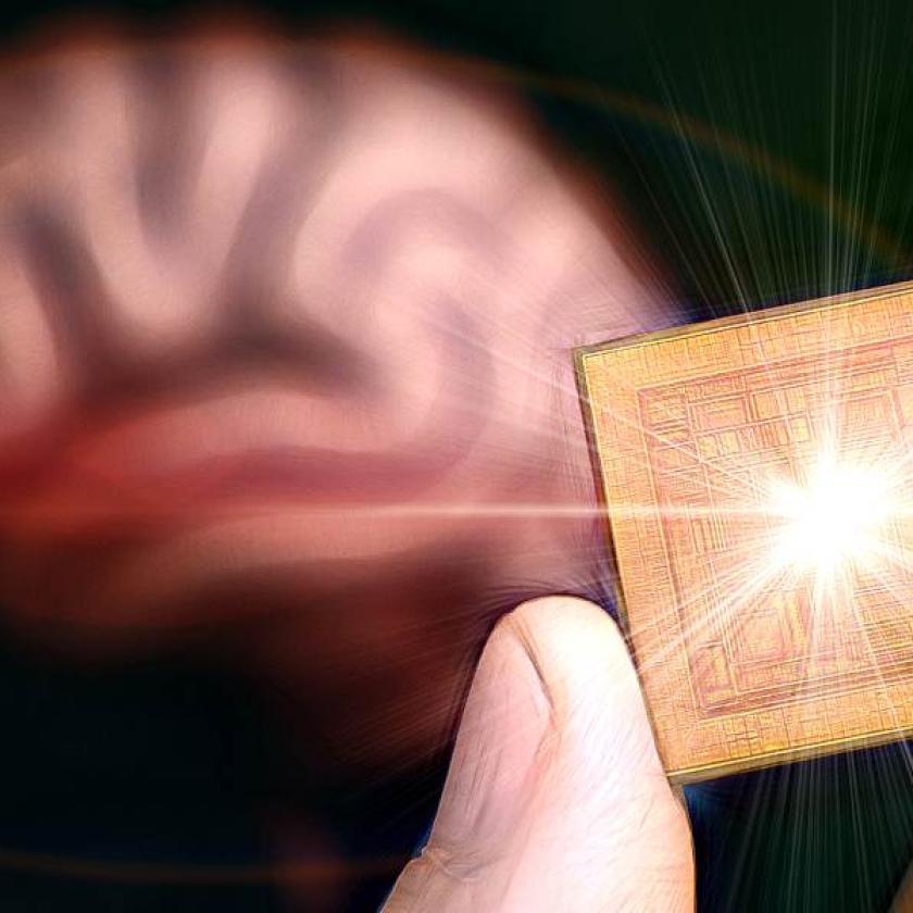 Microwave brain chip