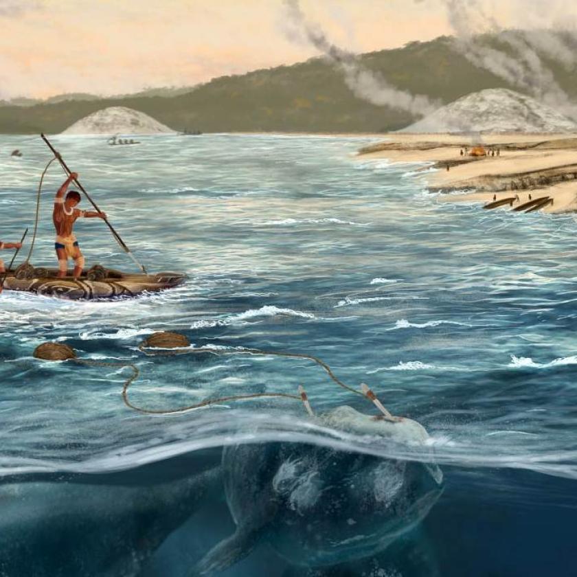 Comunità indigene che cacciavano cetacei 5.000 anni fa.