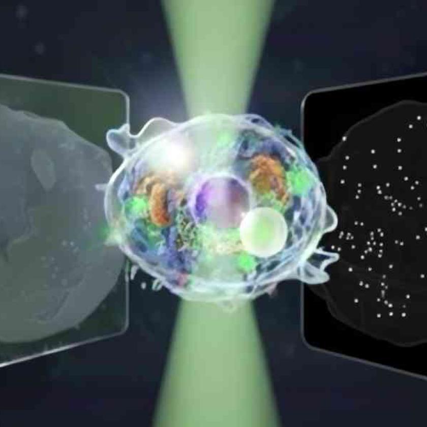 Microscopio a diffusione quantitativa bidirezionale