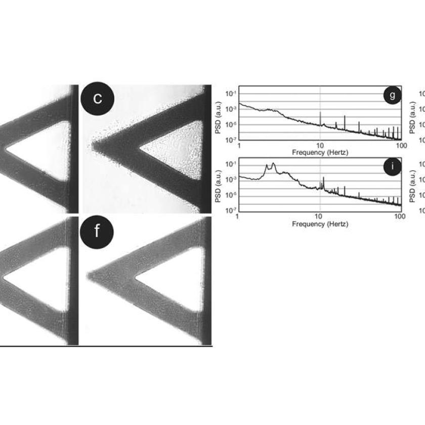 Rappresentazione del sensore con i batteri (a-f) e la risposte in frequenza delle fluttuazioni di nanomovimento (g-j).