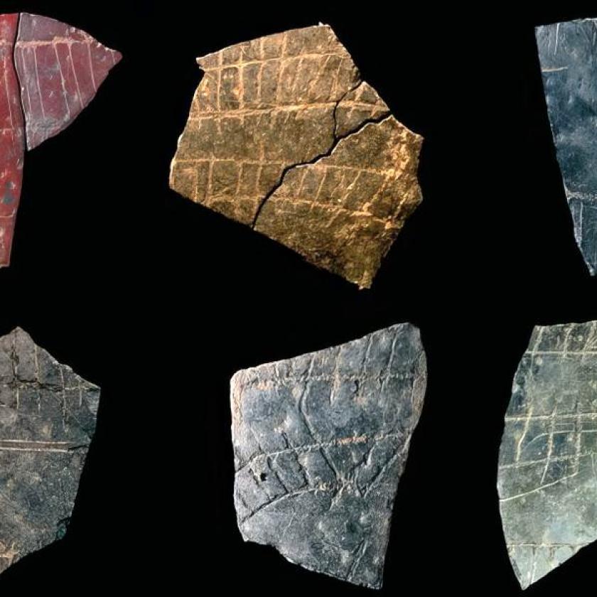 Frammenti di uova di struzzo