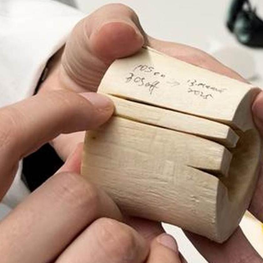 Fino ad ora, i laser chirurgici potevano tagliare l’osso solo molto superficialmente. Modificando la distribuzione dell'energia nel raggio laser, i ricercatori sono ora in grado di ottenere tagli significativamente più profondi rispetto a prima, mostrati qui su un osso bovino.